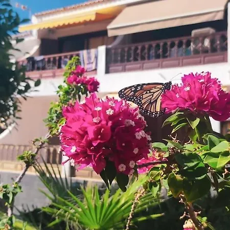 Apartamento En El Centro De Los Gigantes Acantilado de los Gigantes