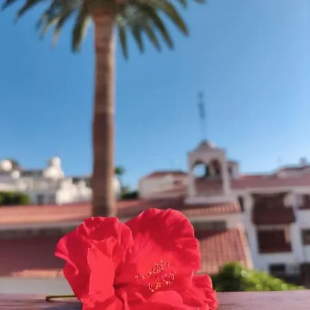 Apartamento En El Centro De Los Gigantes * Acantilado de los Gigantes